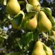 image_(16)[1]