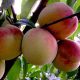 image_(17)[1]