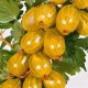 Крыжовник Русский желтый купить саженцы в Крыму