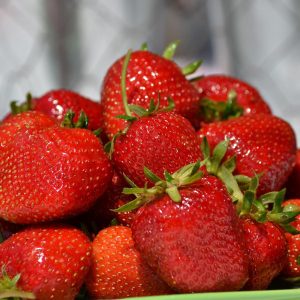 strawberries-3082089_1920