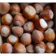 smolin-3-1000x1000