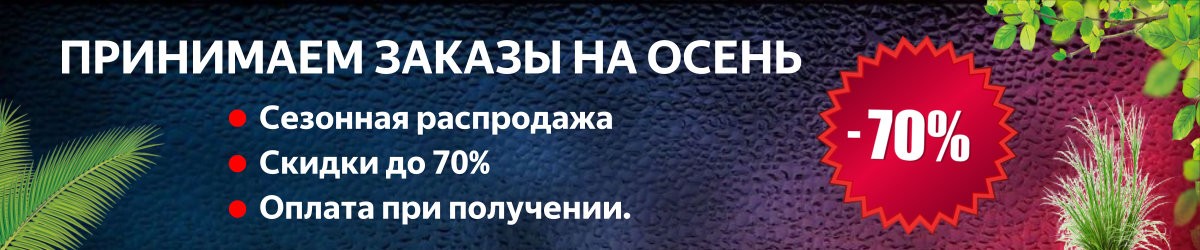 Прием заказов на саженцы в Крыму на осень